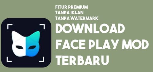 Download Faceplay Premium APK